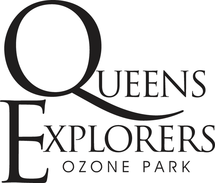 Queens Explorers